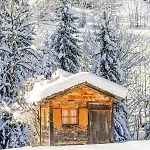 Chalet Orso -