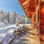 Chalet Orso - *